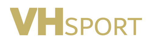 gold horizontal trans back